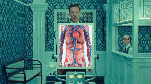 5 совсем бесполезных внутренних органов, без которых можно обойтись