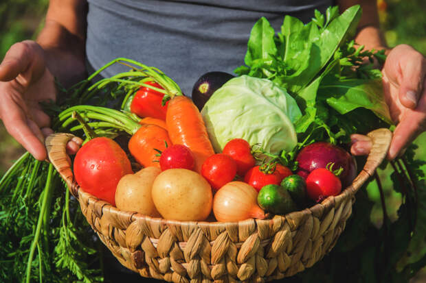 Как избавиться от глистов? Продукты на страже здоровья