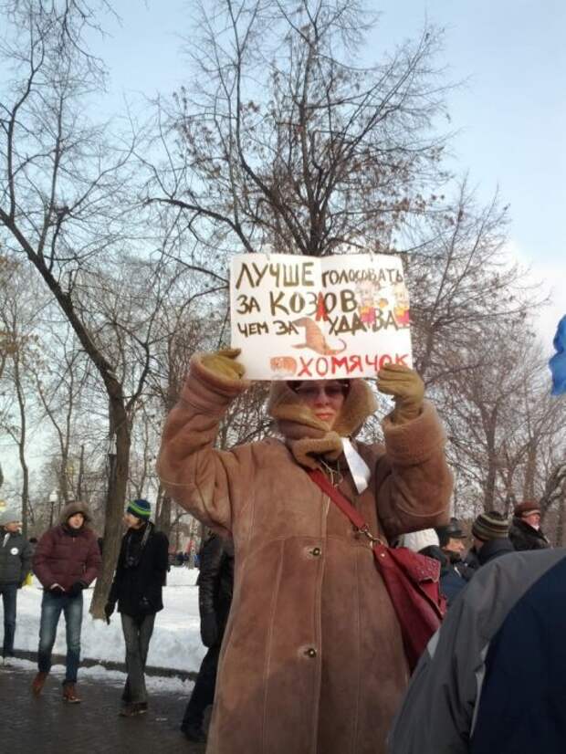 Плакаты с митинга (32 фото)