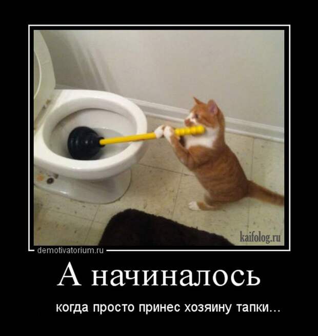 Демотиваторы - 249 (55 демотиваторов)