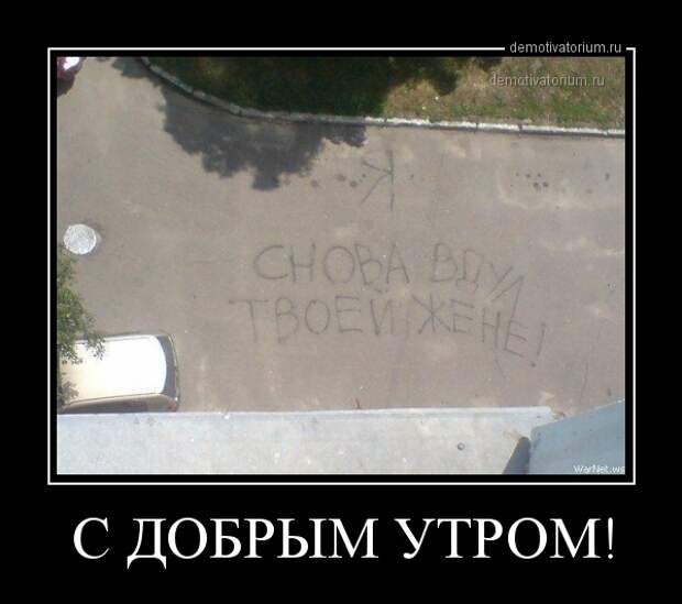 Подборка забавных и смешных демотиваторов для настроения (11 фото)
