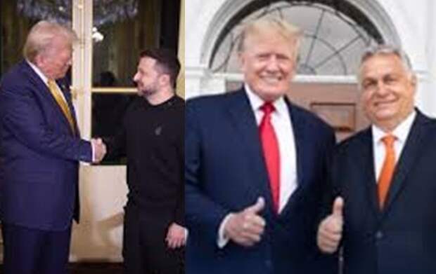 Проклятие З̶е̶л̶е̶н̶с̶к̶о̶г̶о̶ Трампа.