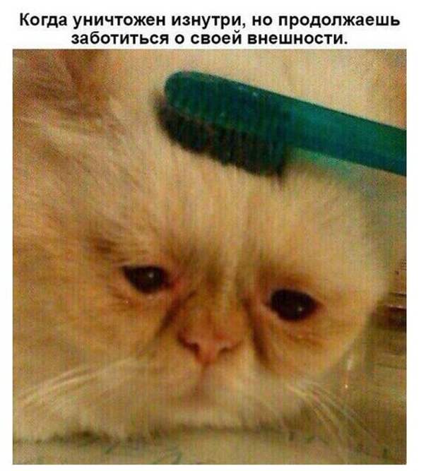 Подборка картинок. Дневной выпуск (50 фото)