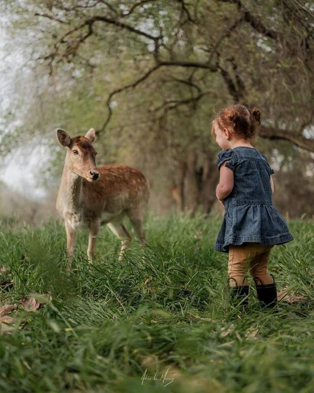 Добрый и волшебный мир детства Adrian Murray., детские фотографии, детство, фотомир