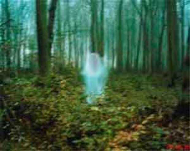 gost-1