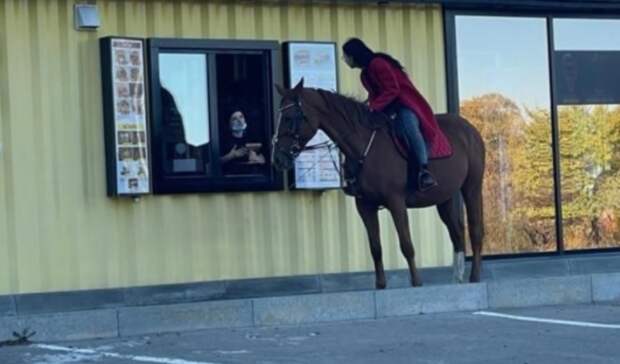 «Да, я на коне»: девушка в седле стала звездой соцсетей в Приморье