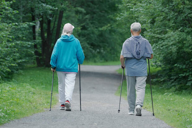 ТАСС: власти России планируют повышать медицинскую грамотность пенсионеров