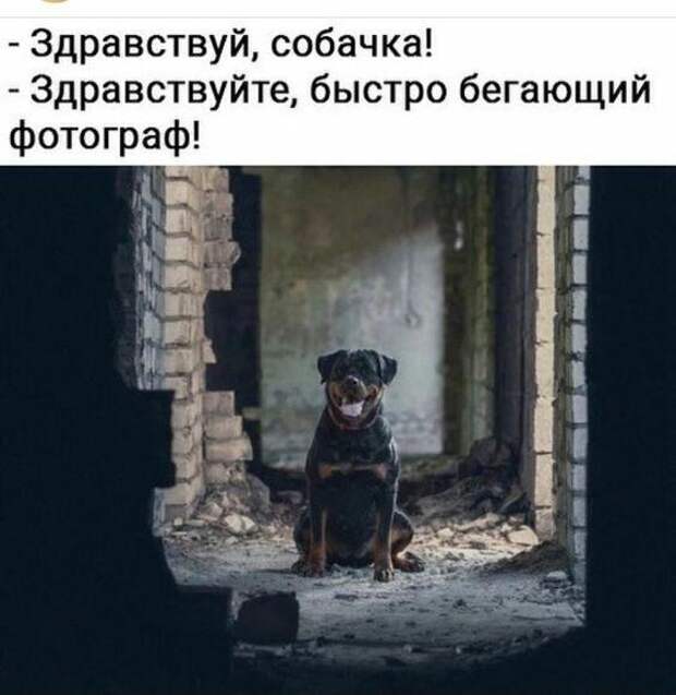 Свежие мемы понедельника (15 шт)