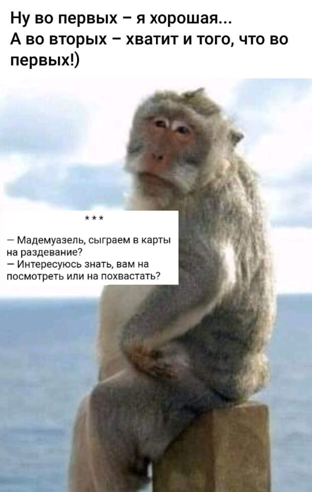 Ищу умную, красивую, ухоженную, сексуальную, заботливую девушку...