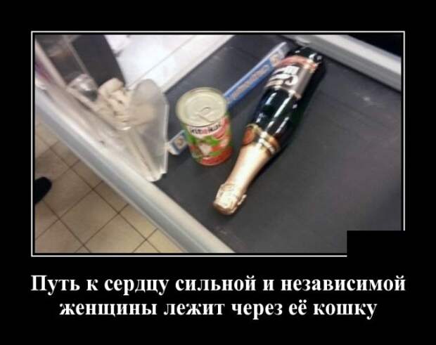 Демотиваторы (30 фото)