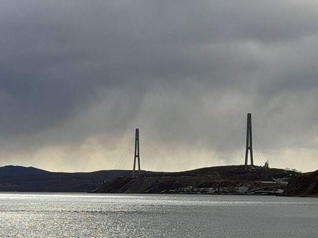 Южный ветер принёс во Владивосток предновогоднюю слякоть