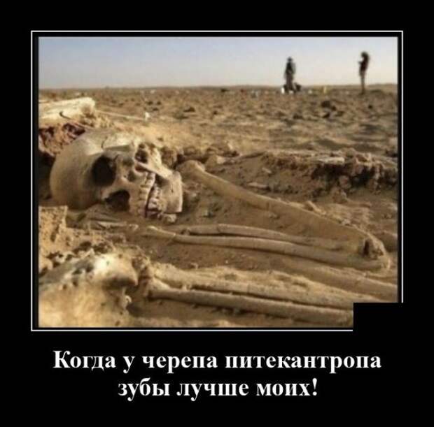 demotivatory-demotivator-smeshnye-demotivatory-demotivator-so-smyslom