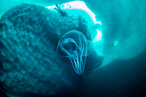 Stunning photos show ice dive beneath giant iceberg