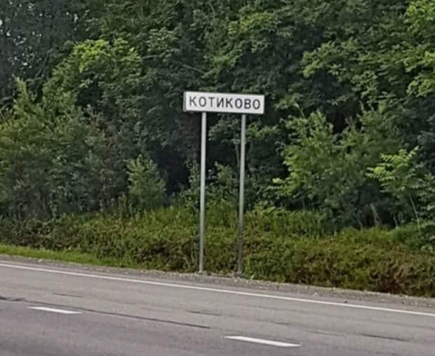 название, указатель