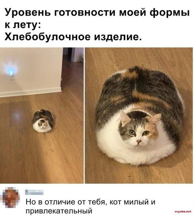 www.vsyako.net