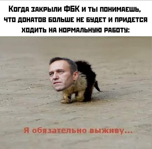 ФБК Навального - ВСЁ: реакция соцсетей на ликвидацию детища оппозиционера