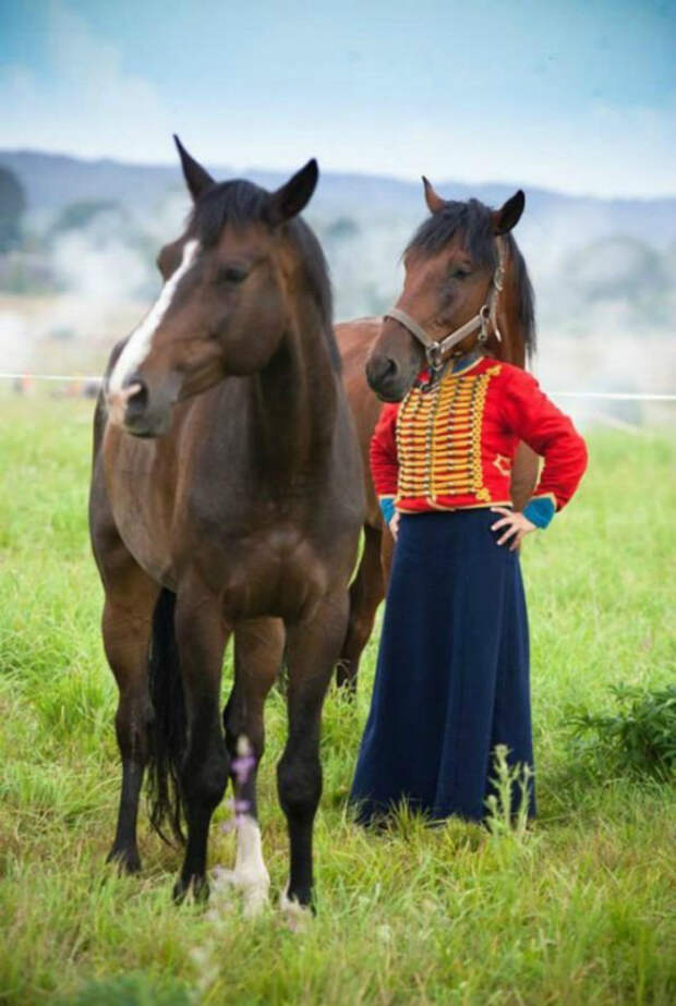 Голова лошади. Голова лошади.
