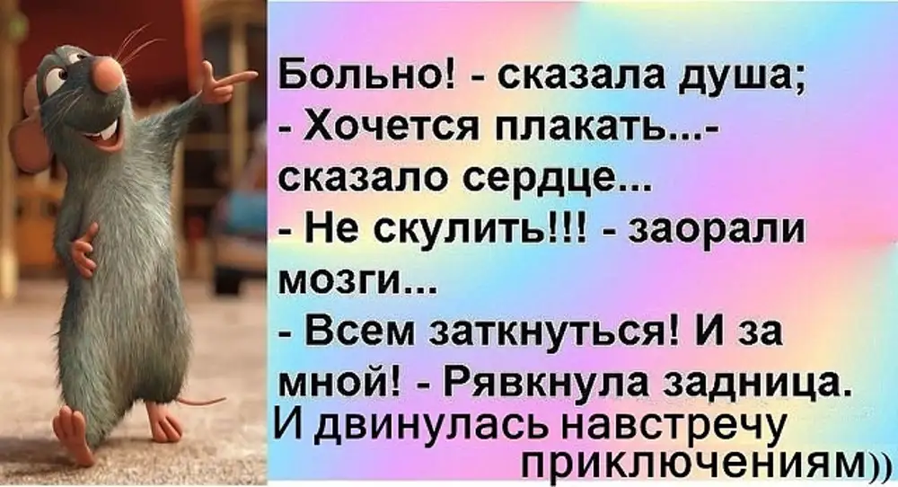 Приключения на жопу фото