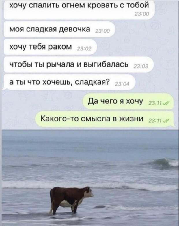 Лучшие мемы, истории и картинки из Сети