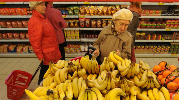 Сладка ягода: зачем в России решили выращивать бананы