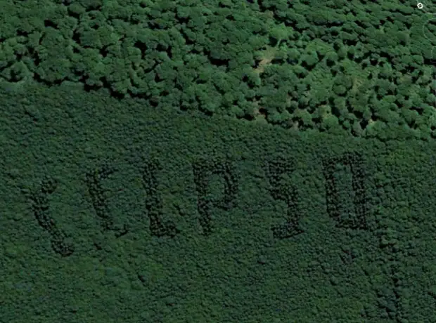 Ленину 100 лет из деревьев. Ленину 100 лет из деревьев. Надпись ленину 100 лет в курганской области. 100 лет ленину лес владимирская область. Ленину 100 лет из деревьев.