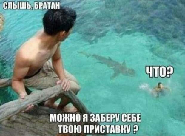 Смешные картинки с надписям весёлое, смешное, смешные картинки, юмор