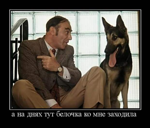 Позитивные демотиваторы на утро (11 фото) Позитивные демотиваторы на утро (11 фото)