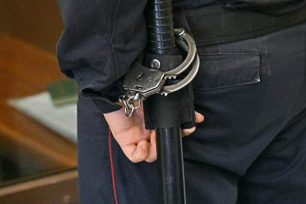 Россиянка разозлилась на судью из-за сына и «заминировала» участок