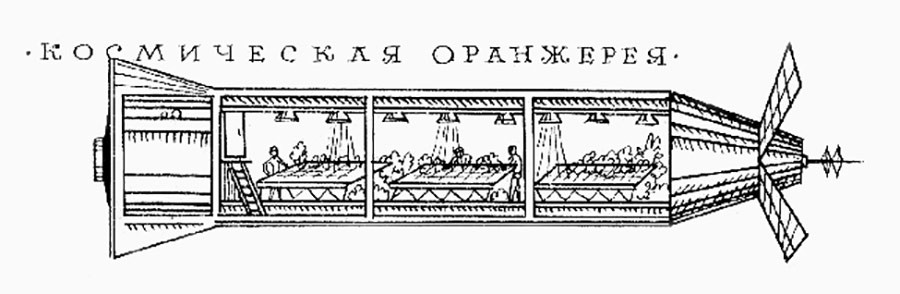 В России придумали новый способ выращивания овощей в космосе