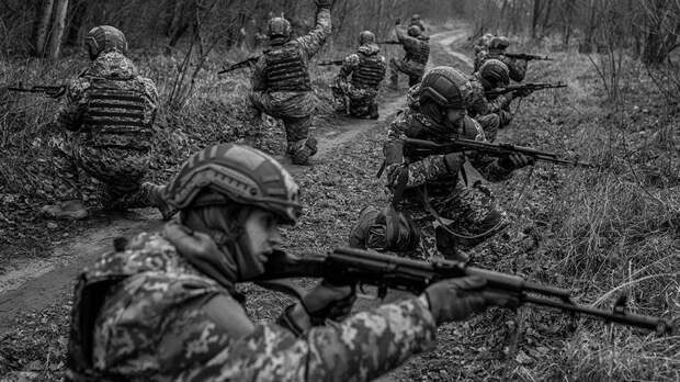 На Украине предложили повторить наступление вермахта