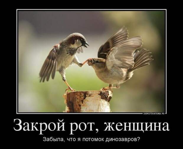 Немного новых демотиваторов