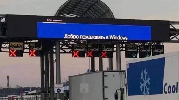 16 самых смешных картинок недели и проблема лошадки