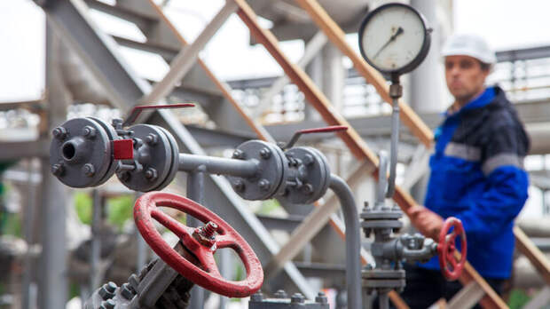 В Болгарии подтвердили намерение прекратить закупки российского газа до конца 2027 года