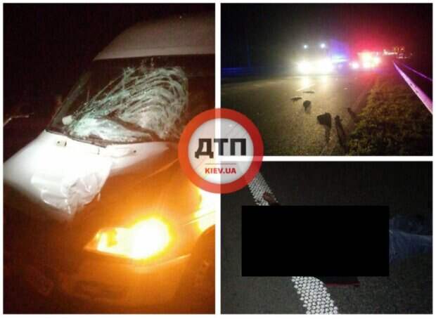 Мерседес забрал жизнь мужчины в один миг на трассе Киев-Одесса: "скорость была огромная"