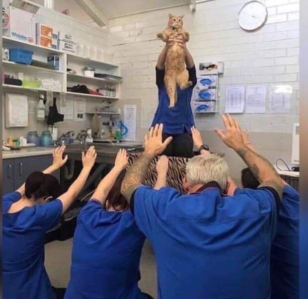 Идол Идол