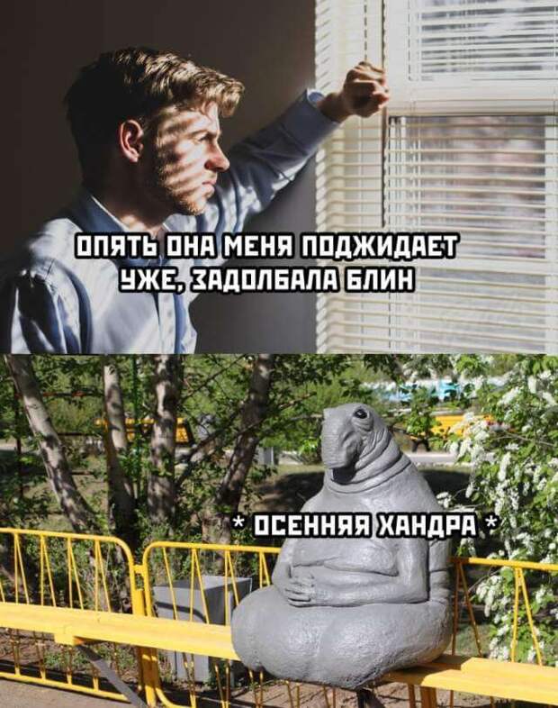 Смешные картинки 21 августа 2020