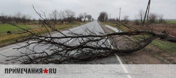 В МЧС отрапортовали о последствиях непогоды на Крымском полуострове