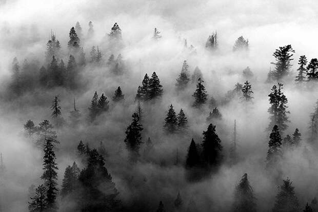 3365150_AwctPVNrs5M (500x334, 35Kb)
