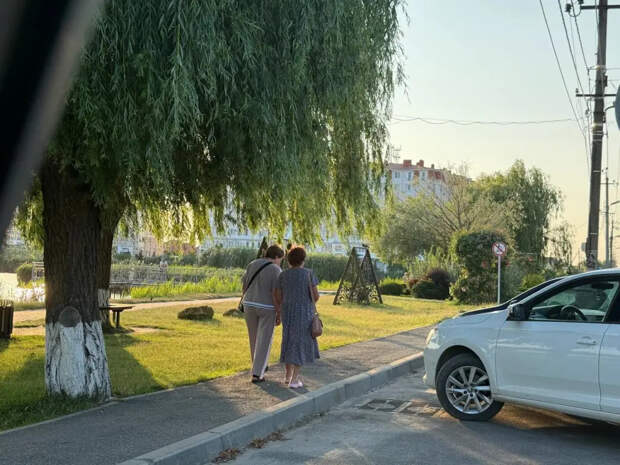 Деньги, которые сами не придут: как пенсионеру получить региональную доплату и не прогореть