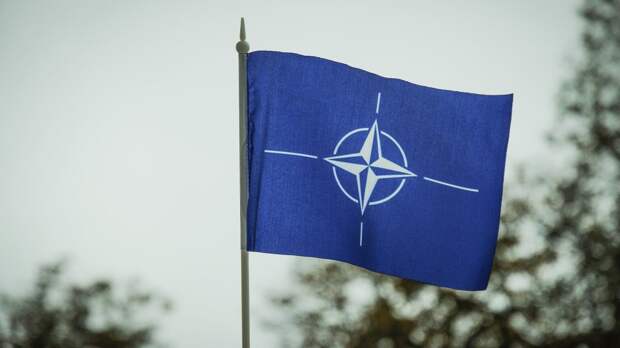 Власти Турции не стали поддерживать присоединение Швеции и Финляндии к НАТО