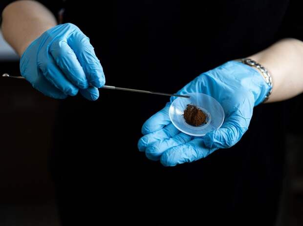 Nature Medicine: лечение рака до 15:00 может помочь пациентам прожить дольше