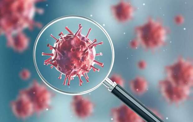 Коронавирусная инфекция: в Севастополе под наблюдением находятся 898 человек