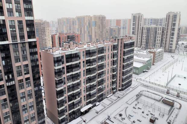 Россиянам назвали способы защититься от «схемы Долиной»