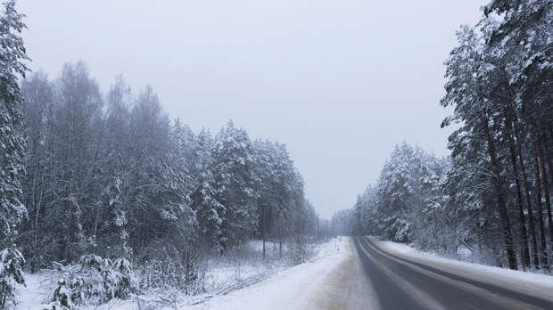 Синоптик Шувалов: похолодание на длинные выходные пойдёт восточнее Москвы