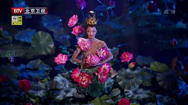 Картинки по запросу （舞蹈） 莲花心 - 杨舞 （北京卫视2015春晚） (Dance) Lotus Heart - Yang Wu (Beijing TV 2015 Spring Festival Gala) HD