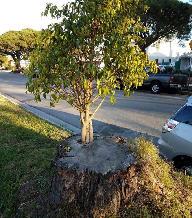 24 фото, доказывающих, что самая большая сила на Земле - природа, а не люди