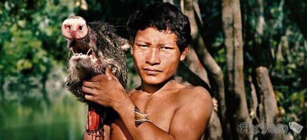 Индейцы Пираха - самый безмятежный народ в мире