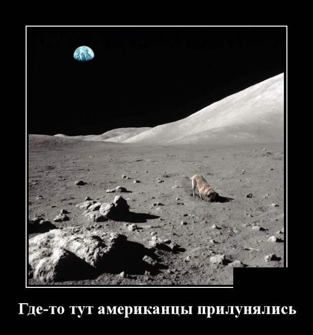 Демотиваторы (30 фото)