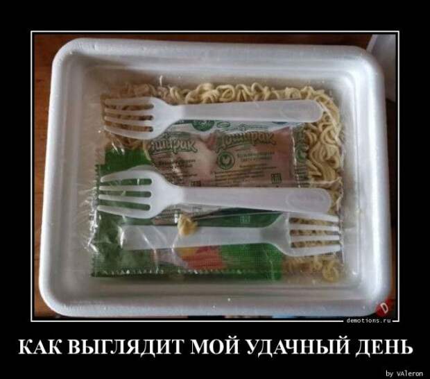 1589440011_demki-19.jpg