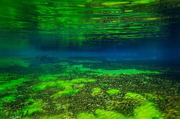 Самое кристально чистое озеро в мире (7 фото)